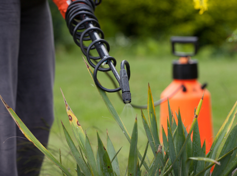 Fertilizing Your Lawn