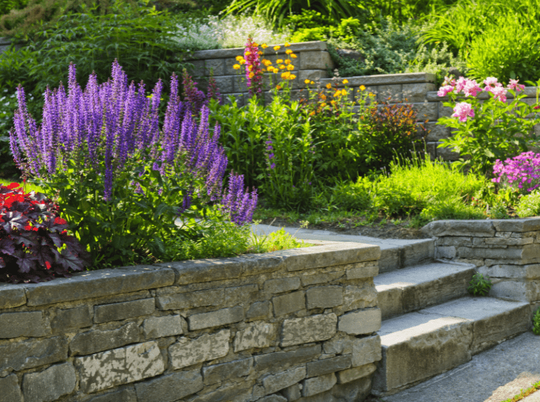 Creating Privacy with Landscaping